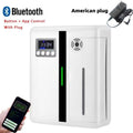 white us(110v)