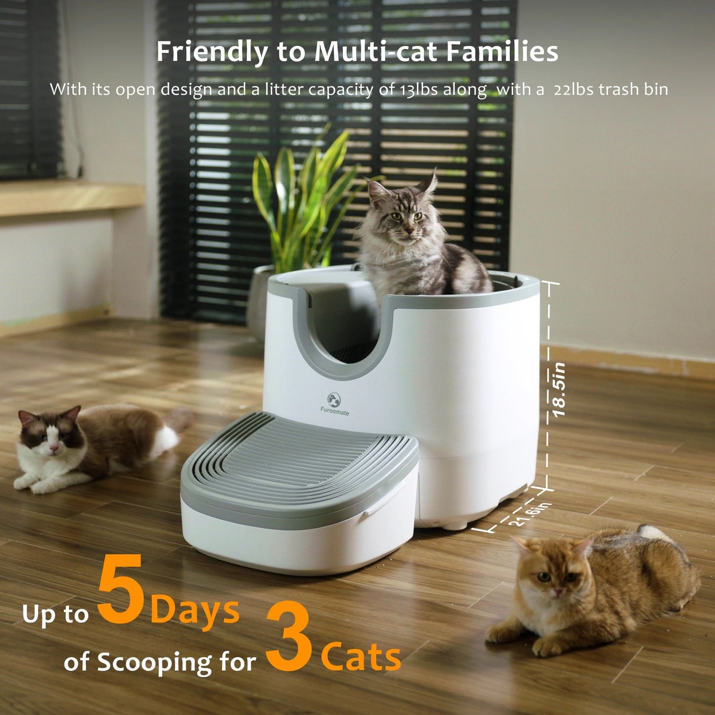Self Cleaning Open Top Cat Litter Box with Safety Sensors Extra Large Capacity
