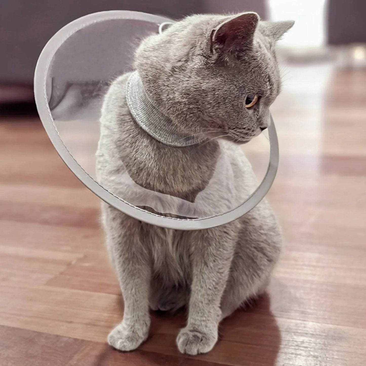 Adjustable Soft Pet Recovery Cone Collar