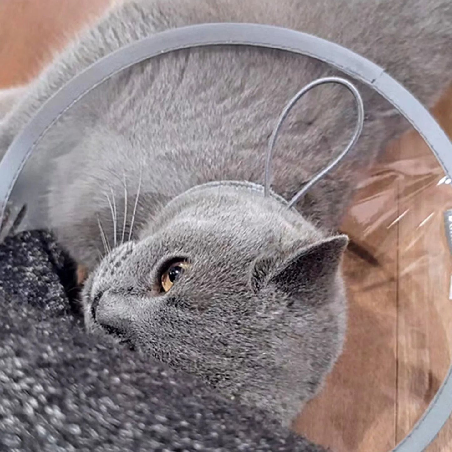 Adjustable Soft Pet Recovery Cone Collar
