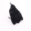 crow c