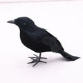 crow a