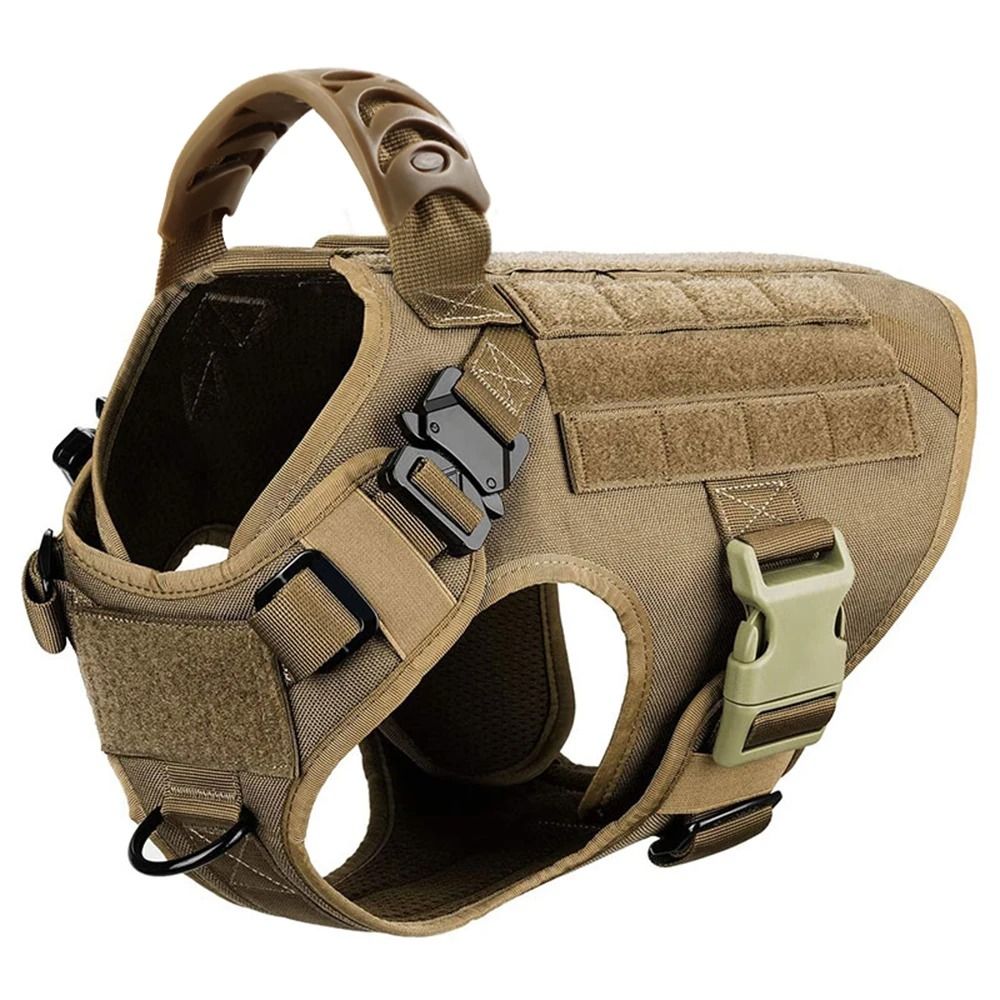 Large Dog Harness and Leash Set for Training and Walking
