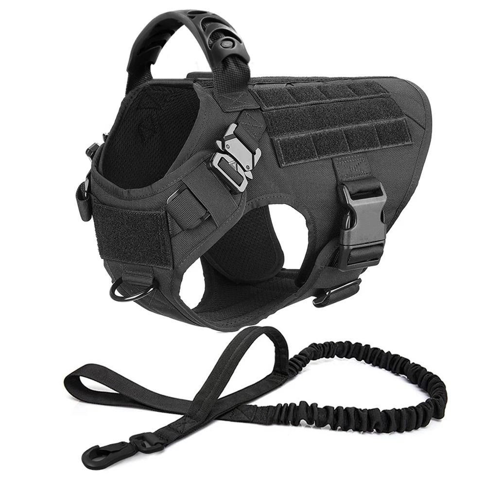Large Dog Harness and Leash Set for Training and Walking