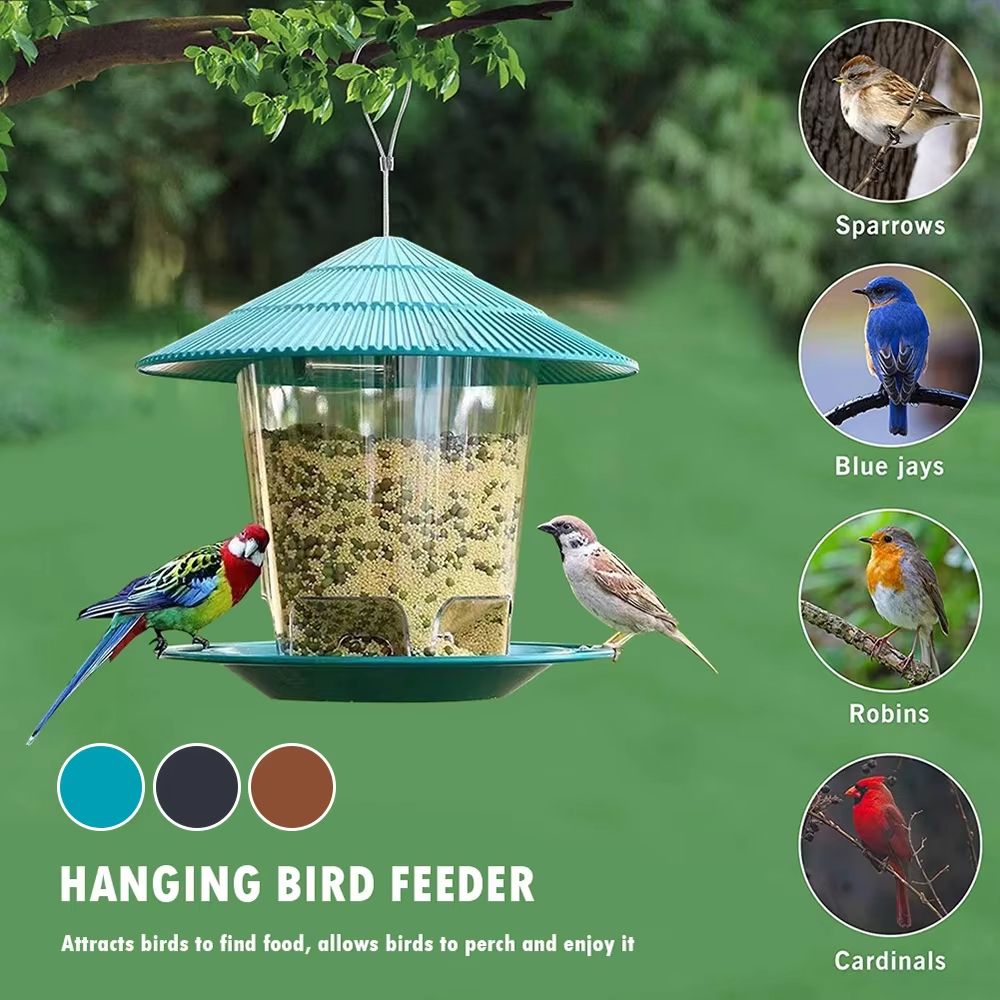 Automatic Multi-Hole Outdoor Bird Feeder Nut Dispenser