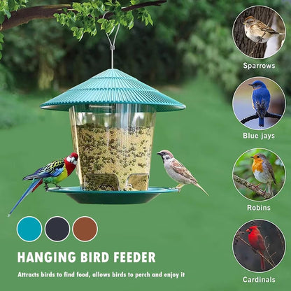 Automatic Multi-Hole Outdoor Bird Feeder Nut Dispenser