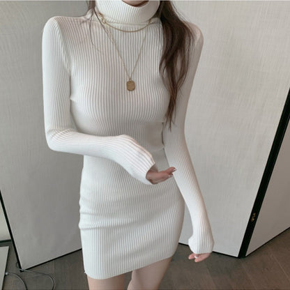 Fashion Female Long Sleeve Skinny Sweater Dress, Autumn Winter Turtleneck Casual Knitted Dress, Women Sexy Elastic