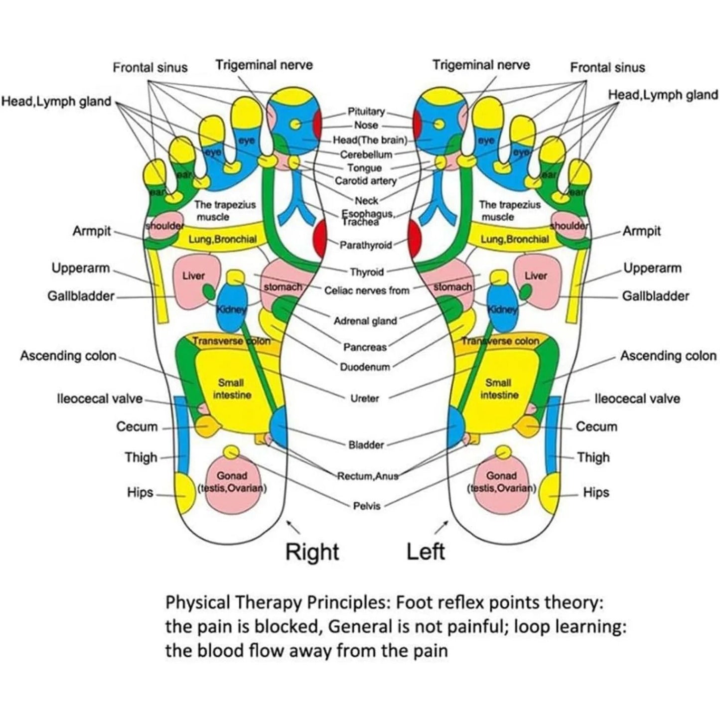 Acupressure Foot Massage Pad for Reflexology Relief