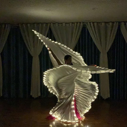 Belly Dance LED Isis Wings Fluorescent Butterfly Performance Costume