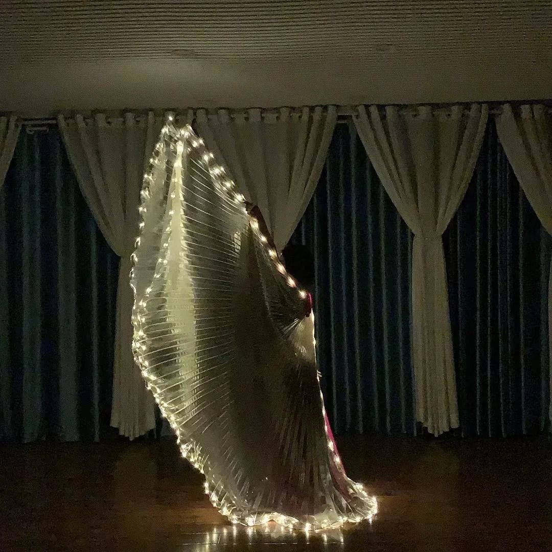 Belly Dance LED Isis Wings Fluorescent Butterfly Performance Costume