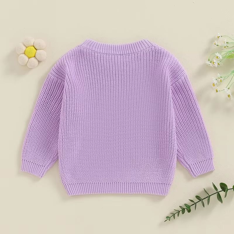 Big Sister & Little Sister Matching Embroidered Knit Sweater Set – Warm Fall/Winter Toddler Sweatshirts