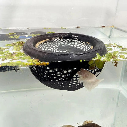 Aquarium Floating Cave and Feeding Ring 3-in-1 Shelter for Betta and Shrimp