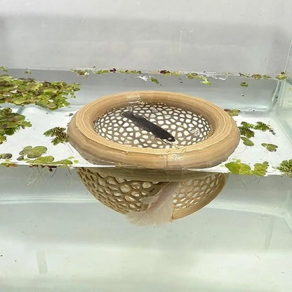 Aquarium Floating Cave and Feeding Ring 3-in-1 Shelter for Betta and Shrimp