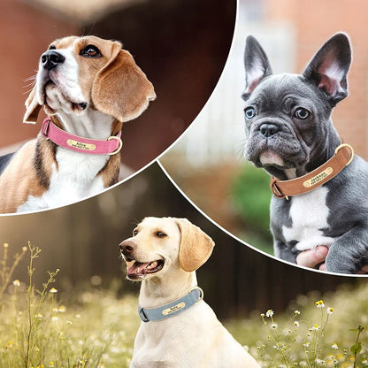 Personalized Dog Collar Custom Engraved PU Leather with Nameplate ID Tag