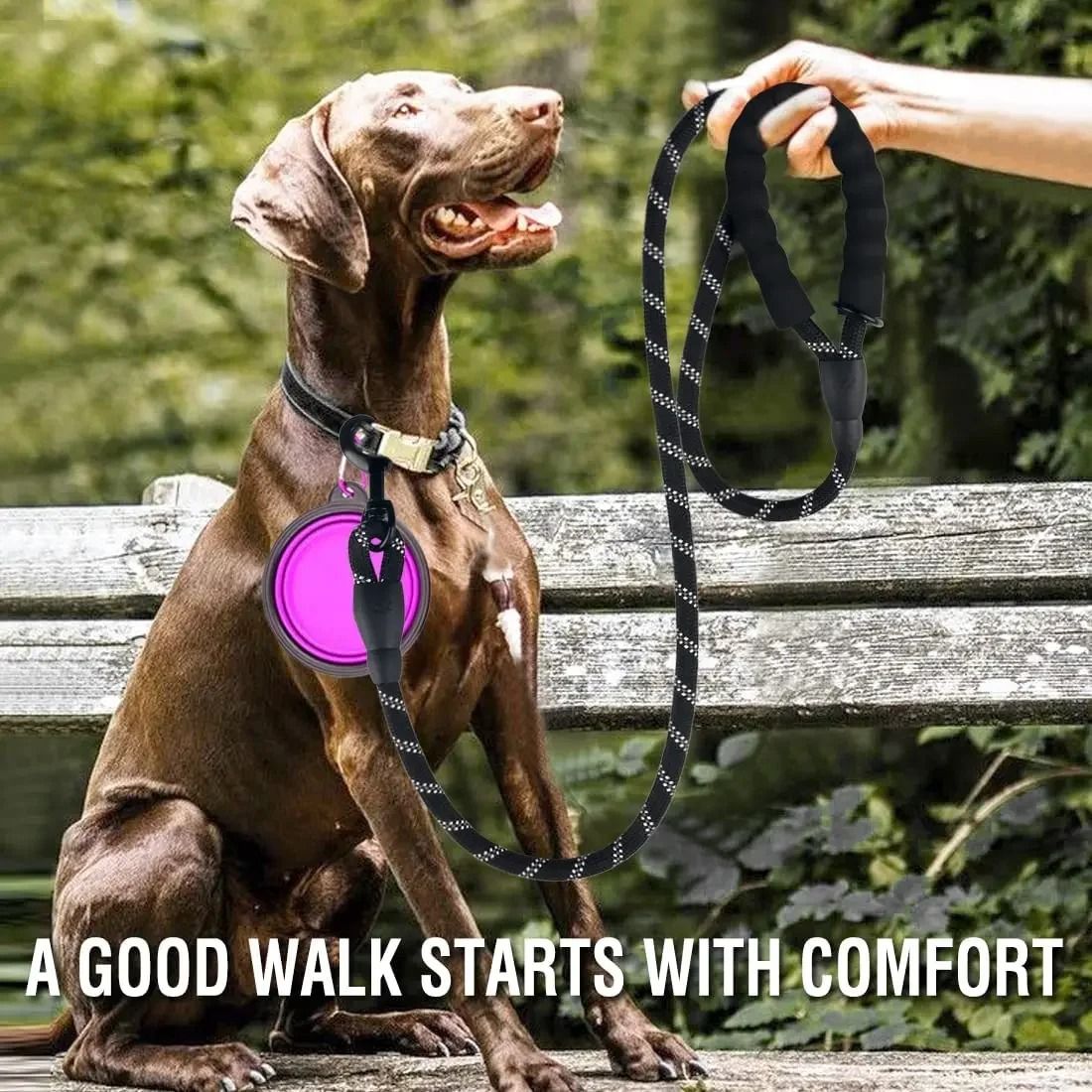 Strong Reflective Dog Leash for Small, Medium, and Large Dogs