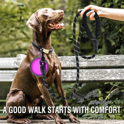 Strong Reflective Dog Leash for Small, Medium, and Large Dogs