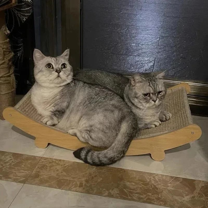 Cat Scratch Board Detachable Wear Resistant Pad and Bed for Kittens