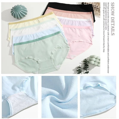 Seamless Cotton Panties 3 Piece Set for Women