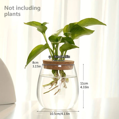 Glass Planter Propagation Station Vase Rack Tabletop Hydroponic Plants Decoration
