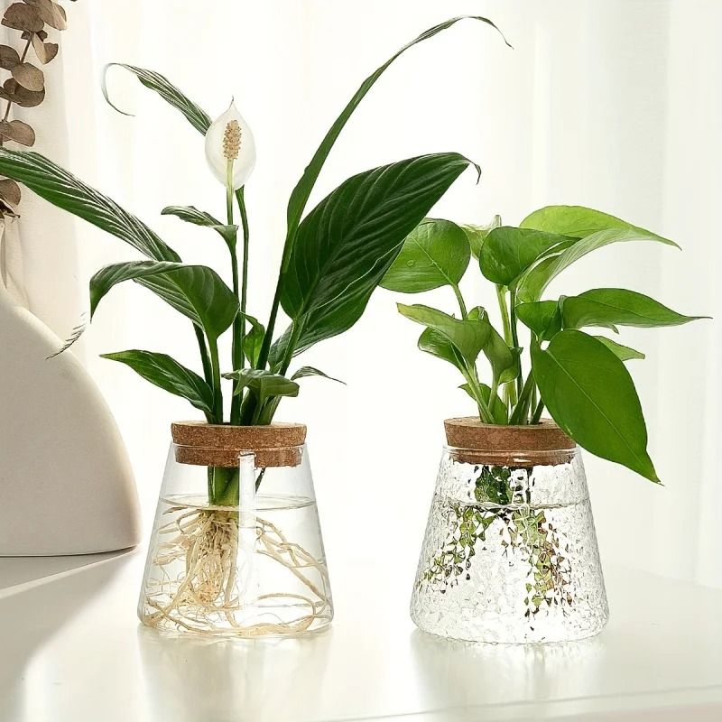 Glass Planter Propagation Station Vase Rack Tabletop Hydroponic Plants Decoration