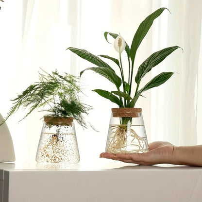 Glass Planter Propagation Station Vase Rack Tabletop Hydroponic Plants Decoration