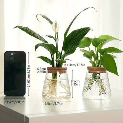 Glass Planter Propagation Station Vase Rack Tabletop Hydroponic Plants Decoration
