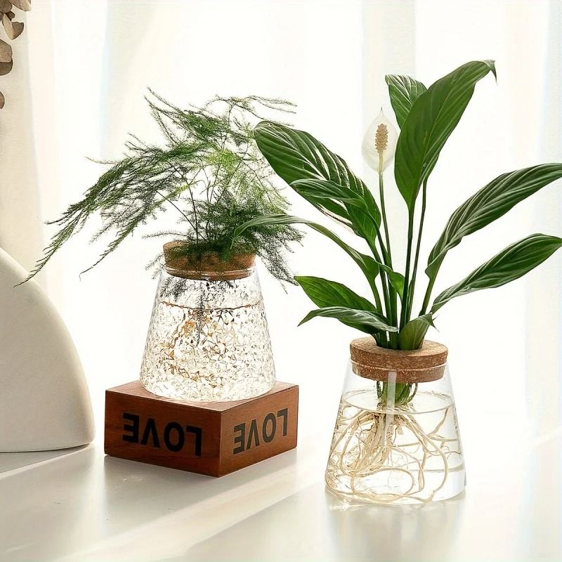 Glass Planter Propagation Station Vase Rack Tabletop Hydroponic Plants Decoration