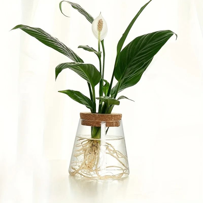 Glass Planter Propagation Station Vase Rack Tabletop Hydroponic Plants Decoration
