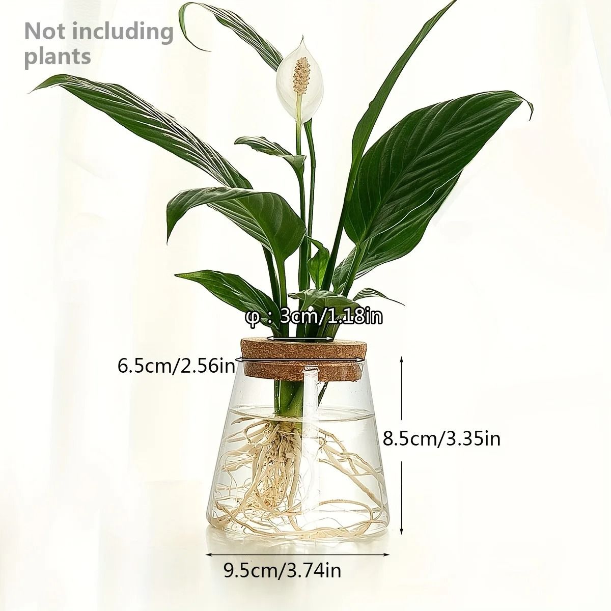 Glass Planter Propagation Station Vase Rack Tabletop Hydroponic Plants Decoration