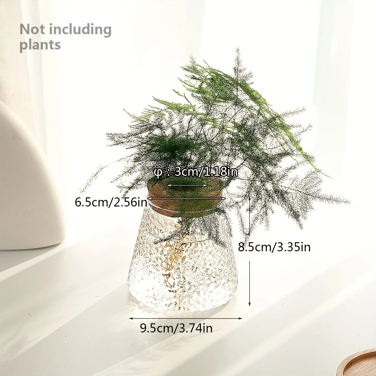 Glass Planter Propagation Station Vase Rack Tabletop Hydroponic Plants Decoration