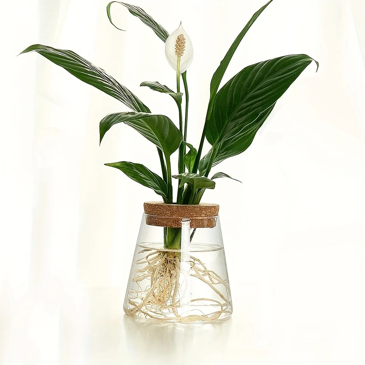 Glass Planter Propagation Station Vase Rack Tabletop Hydroponic Plants Decoration