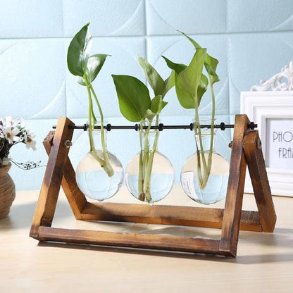Wooden Frame Hydroponic Glass Vase – Tabletop Terrarium Planter for Home Decoration