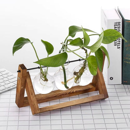 Wooden Frame Hydroponic Glass Vase – Tabletop Terrarium Planter for Home Decoration