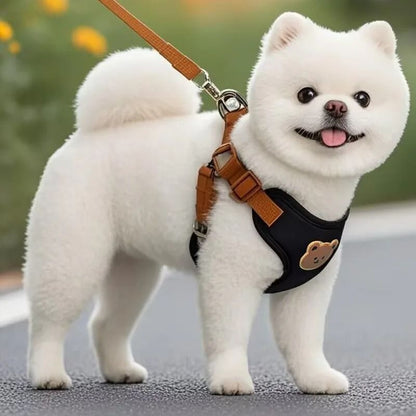 Pet Dog Harness and Leash Set for Small and Medium Pets