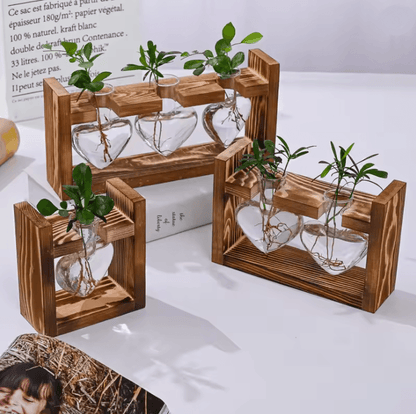 HeartBloom Glass Vase with Wooden Stand for Hydroponic Plant Propagation and Home Decor