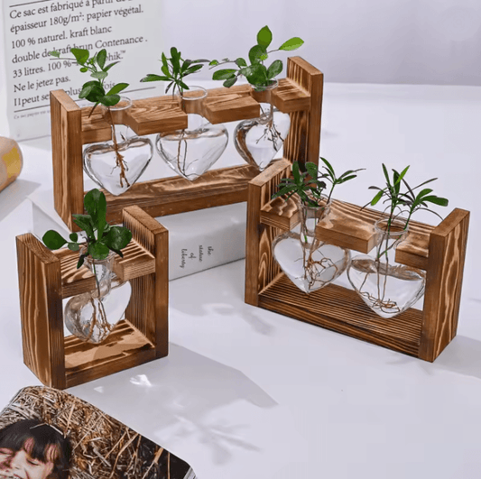 HeartBloom Glass Vase with Wooden Stand for Hydroponic Plant Propagation and Home Decor