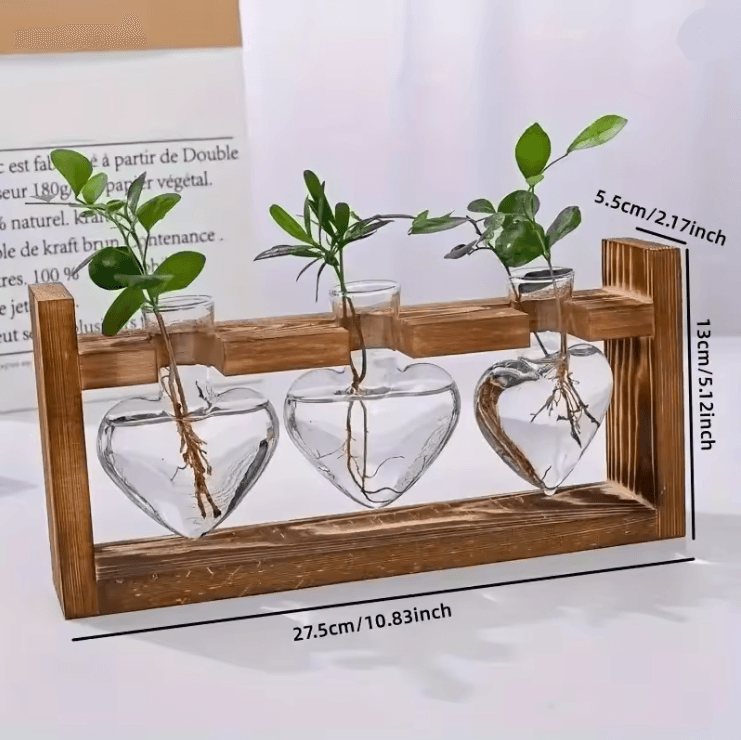 HeartBloom Glass Vase with Wooden Stand for Hydroponic Plant Propagation and Home Decor