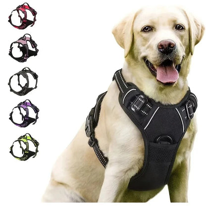 Dog Harness and Leash Set for Small Medium and Large Dogs