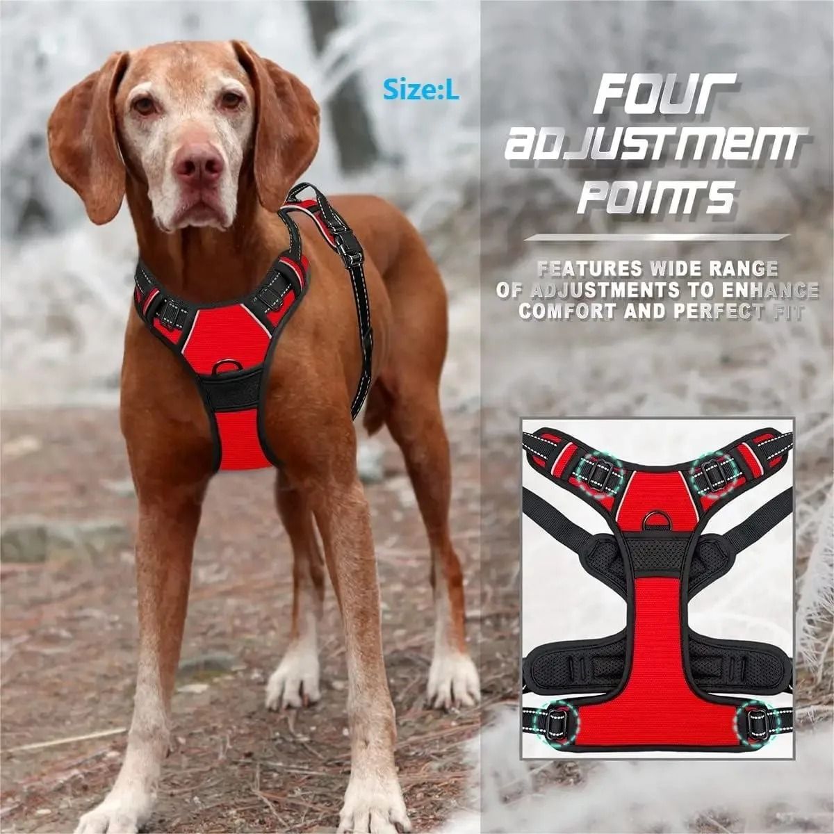 Dog Harness and Leash Set for Small Medium and Large Dogs
