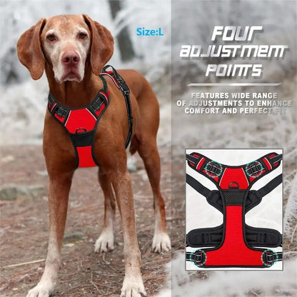 Dog Harness and Leash Set for Small Medium and Large Dogs