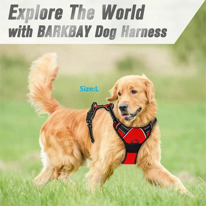 Dog Harness and Leash Set for Small Medium and Large Dogs