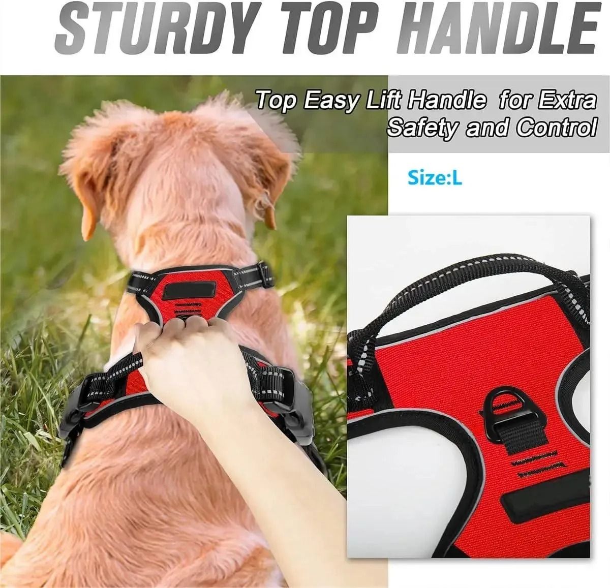 Dog Harness and Leash Set for Small Medium and Large Dogs