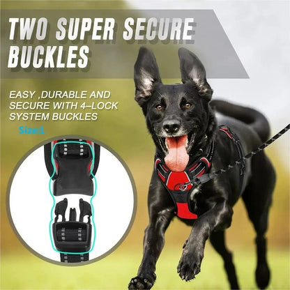 Dog Harness and Leash Set for Small Medium and Large Dogs