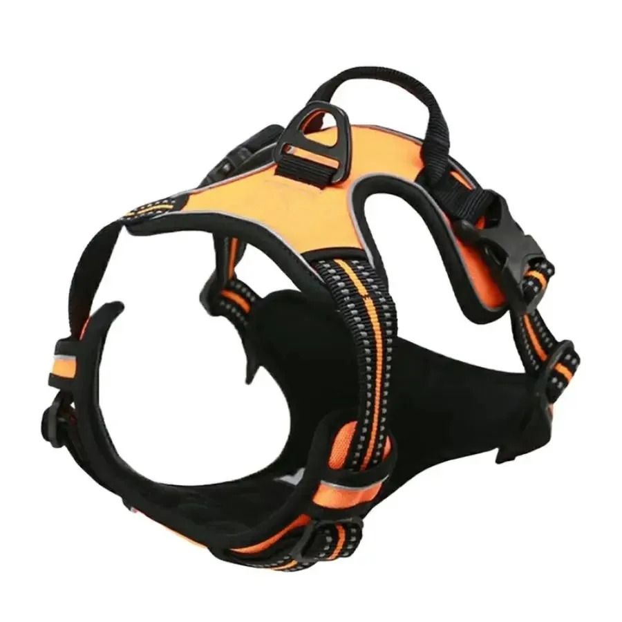 Dog Harness and Leash Set for Small Medium and Large Dogs