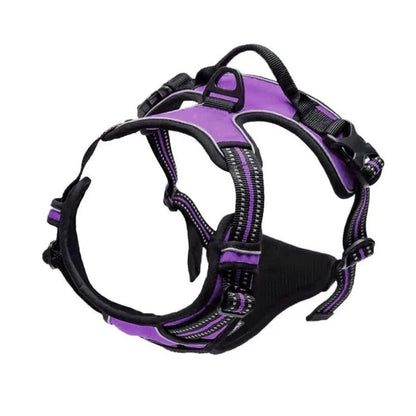 Dog Harness and Leash Set for Small Medium and Large Dogs
