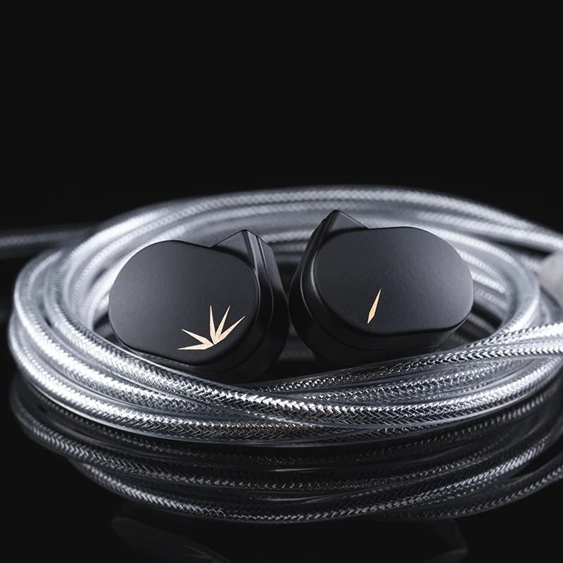 HiFi In Ear Monitors with Detachable Cable for Audiophile Sound