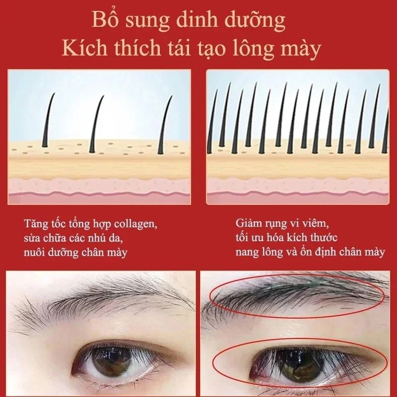Eyebrow Growth Serum Fast Hair Growth and Thickening Treatment