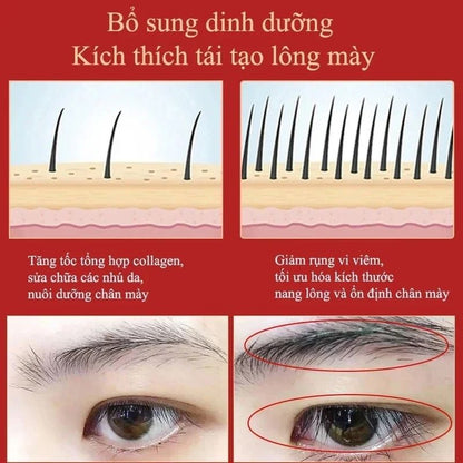Eyebrow Growth Serum Fast Hair Growth and Thickening Treatment
