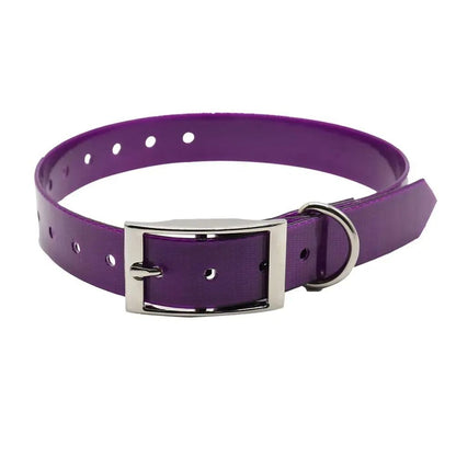 Waterproof Nylon Dog Collar with Adjustable Fit