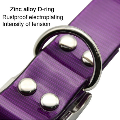 Waterproof Nylon Dog Collar with Adjustable Fit